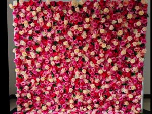 Flower wall hire